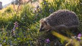 GEO LESERFOTO: Die besten Leserfotos: April 2020 - Bild 8