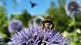 GEO LESERFOTO: Die besten Leserfotos: April 2020 - Bild 6
