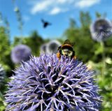 GEO LESERFOTO: Die besten Leserfotos: April 2020 - Bild 6