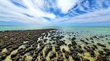 GEO LESERFOTO: Die besten Leserfotos: April 2020 - Bild 5