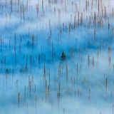 Fotopreis der GdT: Naturfotograf des Jahres: Das sind Gewinnerbilder - Bild 4