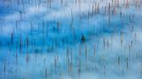 Fotopreis der GdT: Naturfotograf des Jahres: Das sind Gewinnerbilder - Bild 4