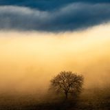 Fotopreis der GdT: Naturfotograf des Jahres: Das sind Gewinnerbilder - Bild 5