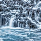 Fotopreis der GdT: Naturfotograf des Jahres: Das sind Gewinnerbilder - Bild 7