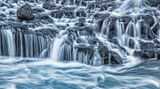 Fotopreis der GdT: Naturfotograf des Jahres: Das sind Gewinnerbilder - Bild 7