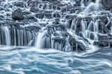 Fotopreis der GdT: Naturfotograf des Jahres: Das sind Gewinnerbilder - Bild 7
