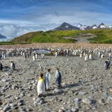 GEO LESERFOTO: Die besten Leserfotos: April 2020 - Bild 2