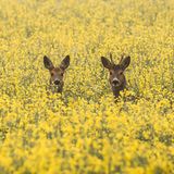 GEO LESERFOTO: Die besten Leserfotos: Mai 2020 - Bild 18