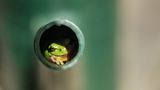 GEO LESERFOTO: Die besten Leserfotos: Mai 2020 - Bild 16