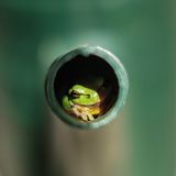 GEO LESERFOTO: Die besten Leserfotos: Mai 2020 - Bild 16