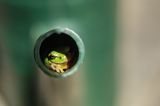GEO LESERFOTO: Die besten Leserfotos: Mai 2020 - Bild 16