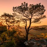 GEO LESERFOTO: Die besten Leserfotos: Mai 2020 - Bild 15