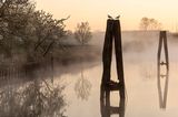 Elbe-Weser-Dreieck