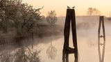 Elbe-Weser-Dreieck