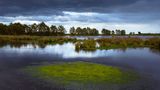 Hochmoor