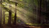 Teutoburger Wald