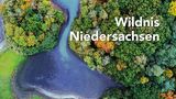Bildband "Wildnis Niedersachsen"