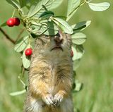 GEO LESERFOTO: Die besten Leserfotos: Mai 2020 - Bild 14