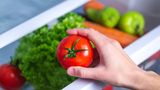 Tomate im Kühlschrank