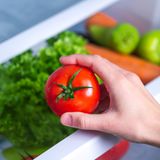 Tomate im Kühlschrank