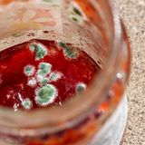 Schimmel auf Marmelade