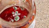 Schimmel auf Marmelade
