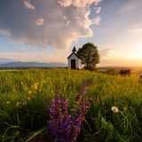 GEO LESERFOTO: Die besten Leserfotos: Mai 2020 - Bild 13