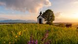 GEO LESERFOTO: Die besten Leserfotos: Mai 2020 - Bild 13