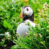 GEO LESERFOTO: Die besten Leserfotos: Mai 2020 - Bild 12