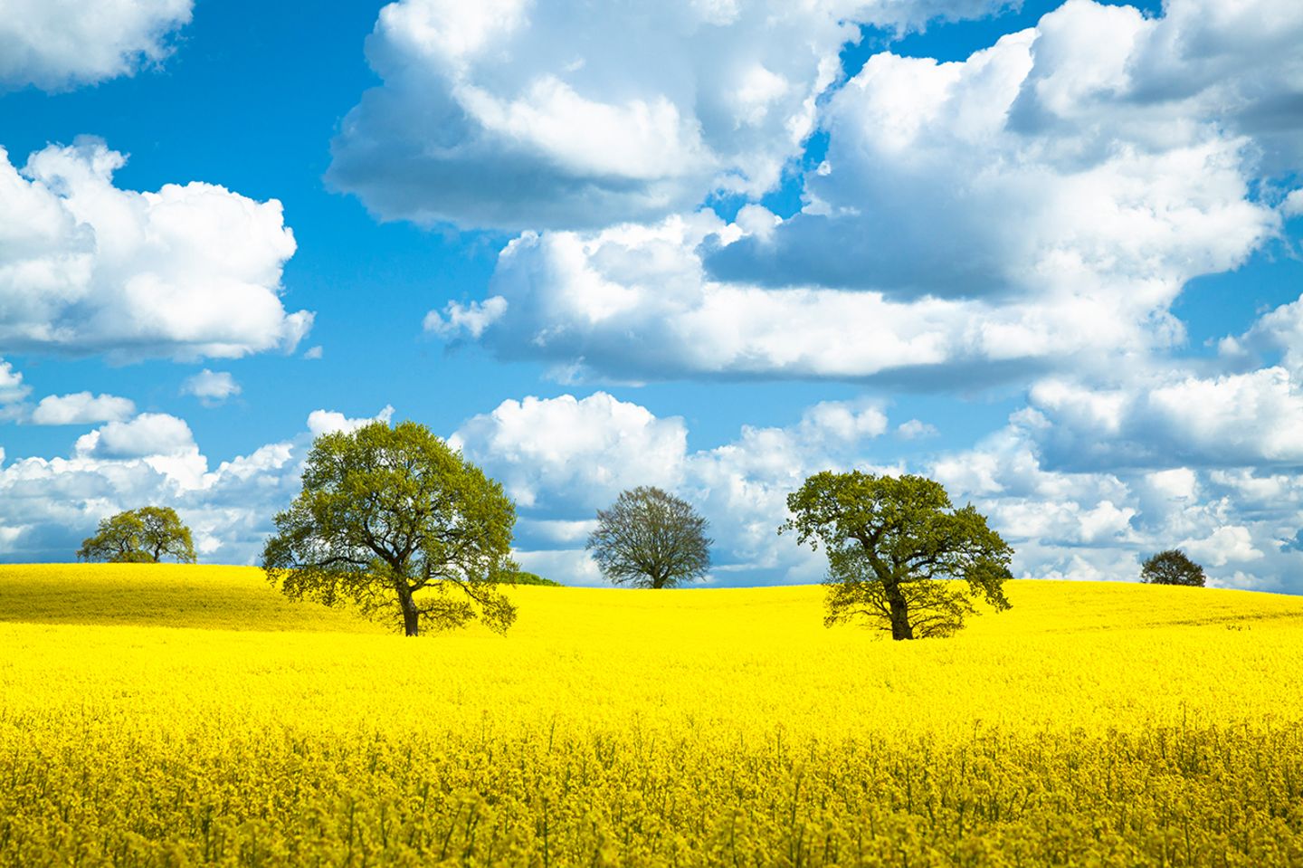 GEO LESERFOTO: Die besten Leserfotos: Mai 2020 - Bild 11
