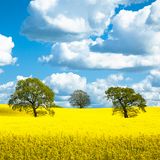 GEO LESERFOTO: Die besten Leserfotos: Mai 2020 - Bild 11