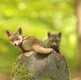 GEO LESERFOTO: Die besten Leserfotos: Mai 2020 - Bild 9