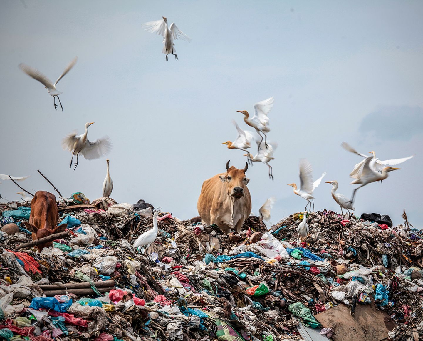 Müllmassen in Indonesien