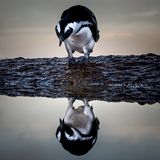 GEO LESERFOTO: Die besten Leserfotos: Mai 2020 - Bild 6