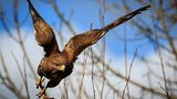 GEO LESERFOTO: Die besten Leserfotos: Mai 2020 - Bild 3