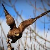 GEO LESERFOTO: Die besten Leserfotos: Mai 2020 - Bild 3