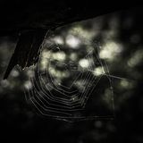 GEO LESERFOTO: Die besten Leserfotos: Mai 2020 - Bild 2