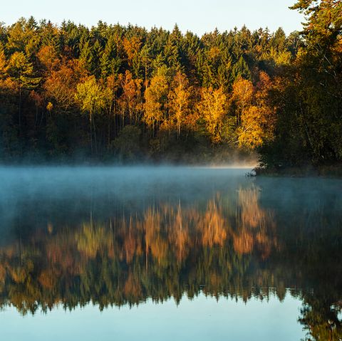 Pinnsee, Naturpark Lauenburgische Seen