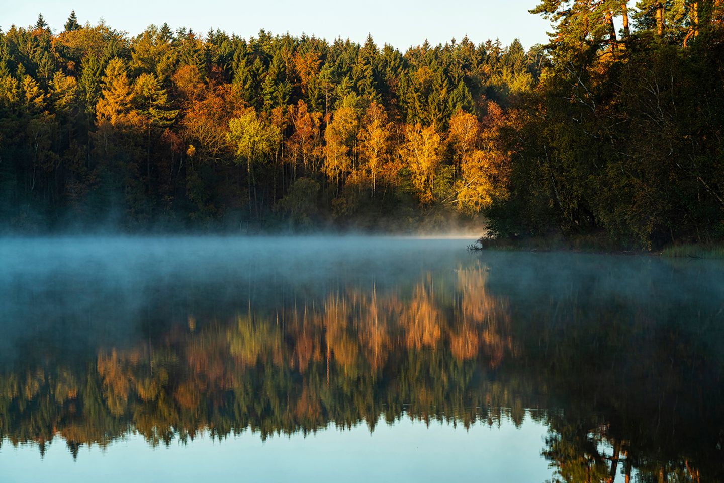 Pinnsee, Naturpark Lauenburgische Seen