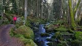 Saußbachklamm