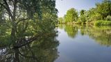 Naturschutzgebiet Taubergießen