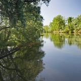 Naturschutzgebiet Taubergießen