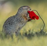 GEO LESERFOTO: Die besten Leserfotos: Juni 2020 - Bild 17