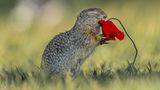 GEO LESERFOTO: Die besten Leserfotos: Juni 2020 - Bild 17