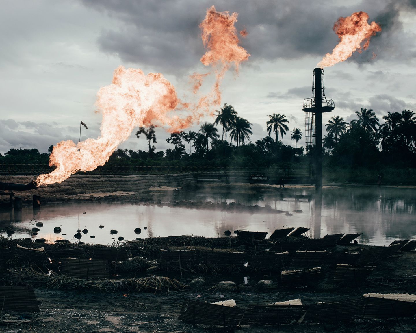 Environment, 2020 Sony World Photography Awards