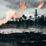 Environment, 2020 Sony World Photography Awards