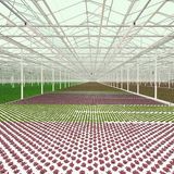 Environment, 2020 Sony World Photography Awards