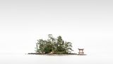 Landscape, 2020 Sony World Photography Awards