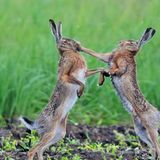 GEO LESERFOTO: Die besten Leserfotos: Juni 2020 - Bild 15