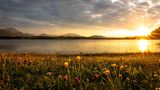 GEO LESERFOTO: Die besten Leserfotos: Juni 2020 - Bild 12